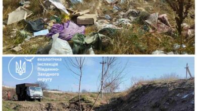 Ліквідація сміттєзвалища в Корабельному