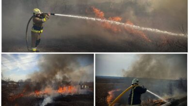 По Миколаївщині палають очерети та суха трава