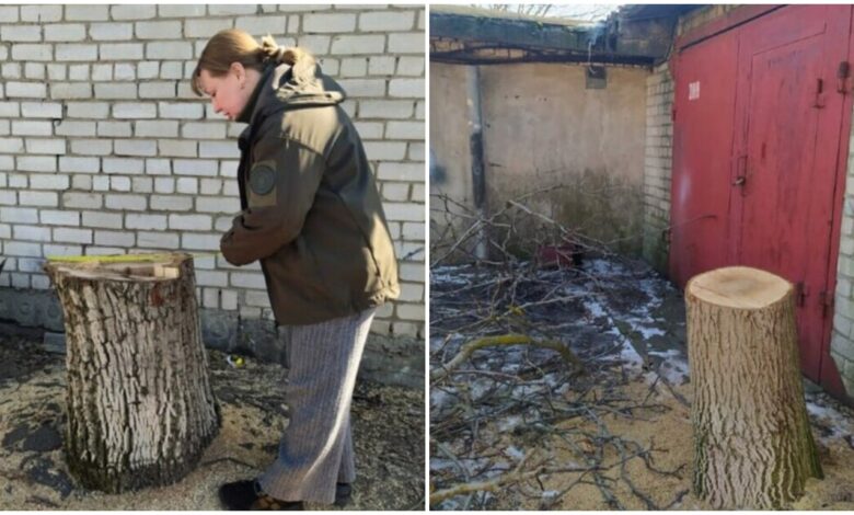 Спиляні горіхи