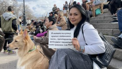 У Миколаєві відбувся парад прилаштованих безпритульних собак