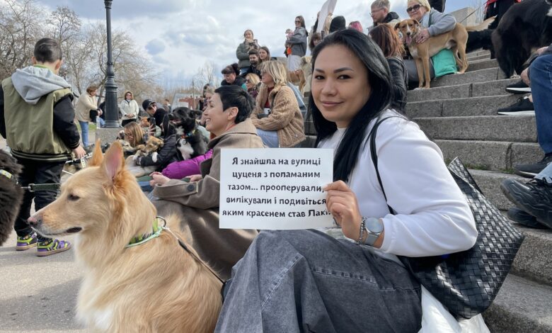 У Миколаєві відбувся парад прилаштованих безпритульних собак