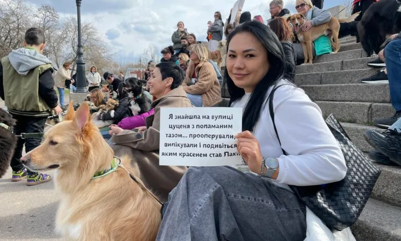 У Миколаєві відбувся парад прилаштованих безпритульних собак