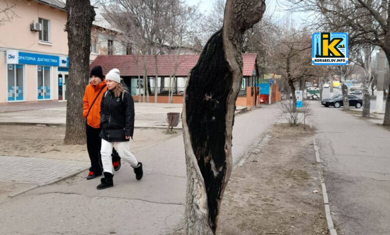 Корабельний район Миколаєва