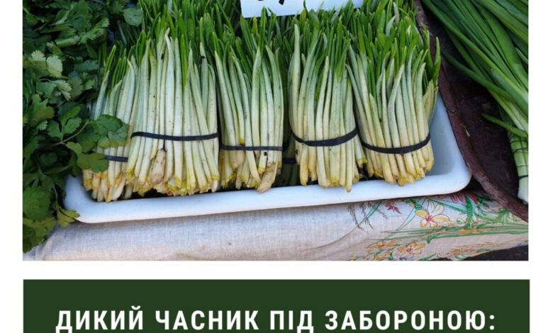 Продаж черемші поза законом!