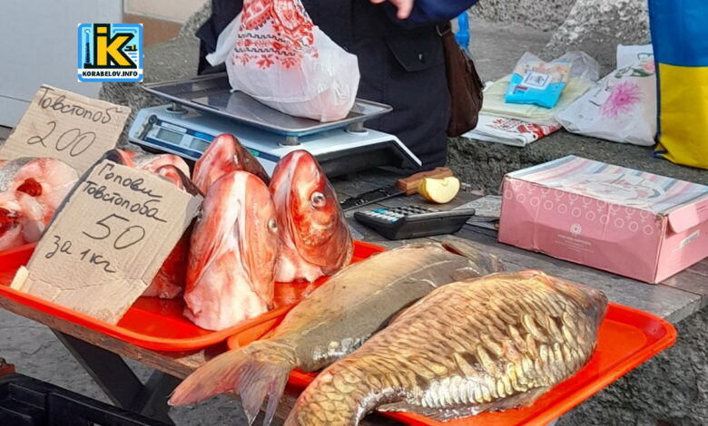 Торгівля рибою "з полу" в Корабельному районі