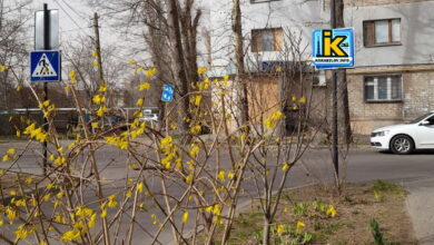 Вітер у Корабельному районі