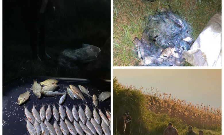 незаконний вилов риби