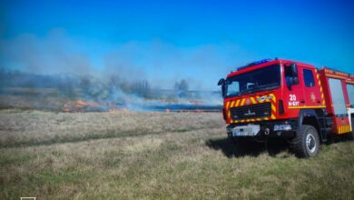 Вогнеборці приборкують вогняну стихію