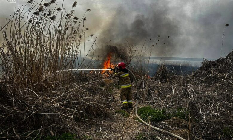 гасіння очерету, пожежники