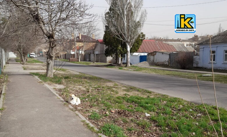 Приватний сектор в Корабельному районі