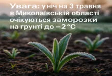 Увага: заморозки!