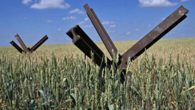 Нові мита для українських аграріїв (фото ЗМІ)