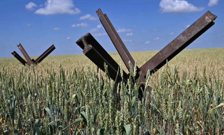 Нові мита для українських аграріїв (фото ЗМІ)