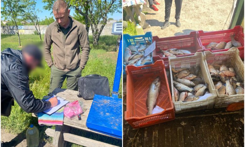 Навіть рибі потрібні документи!