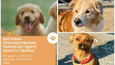 Знайди собі друга!