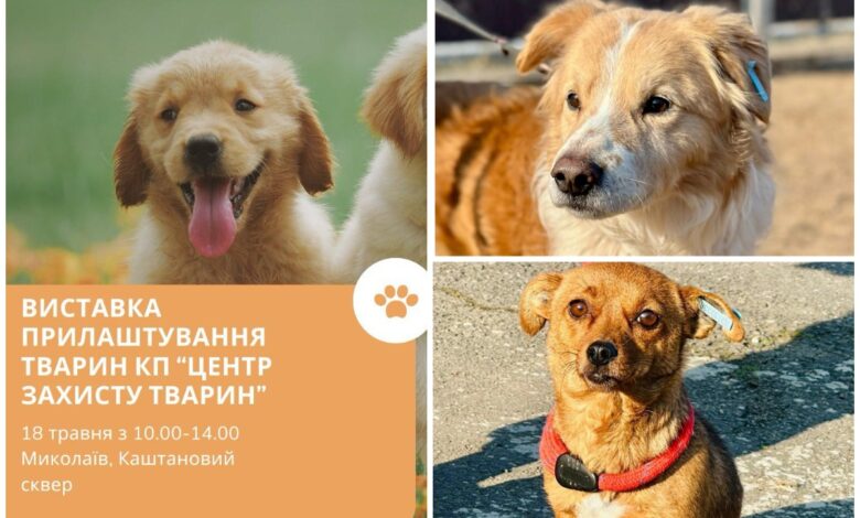 Знайди собі друга!