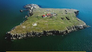 Битва за Зміїний