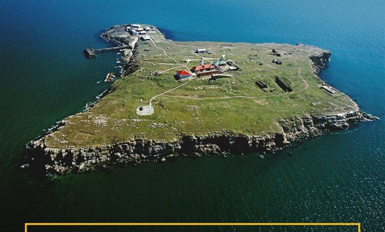 Битва за Зміїний