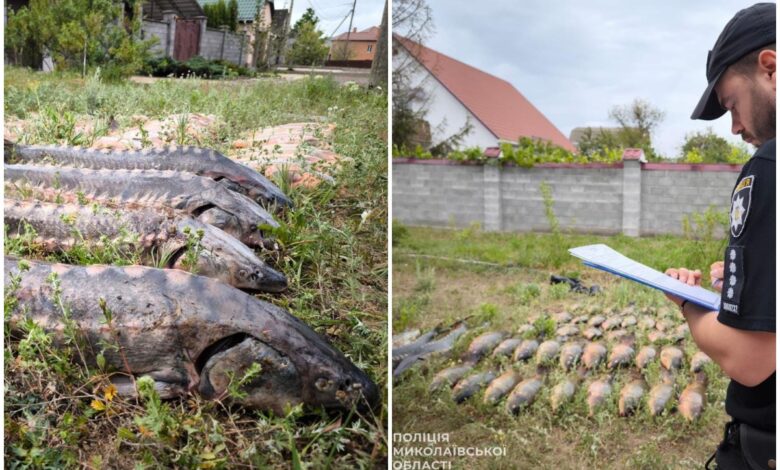 риба з бочки