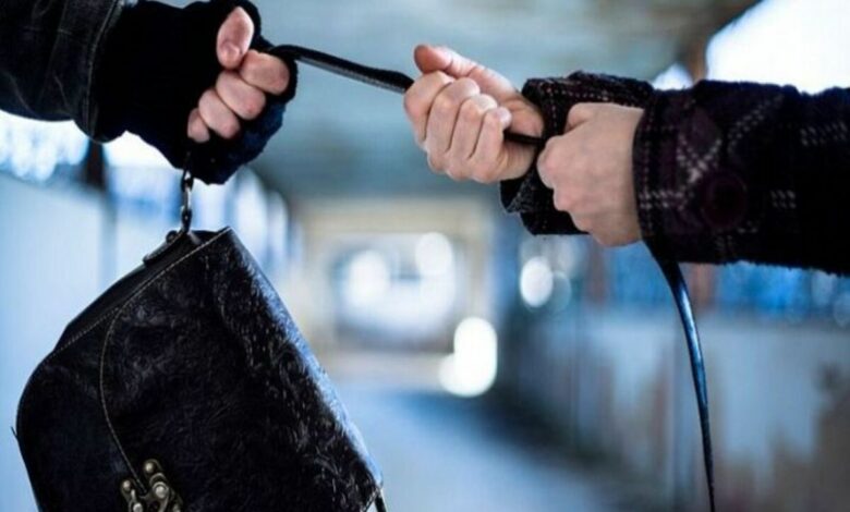 Вихопив сумку в пенсіонера і втік