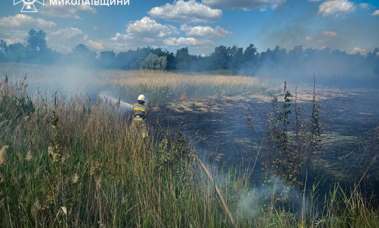Пожежа в екосистемі