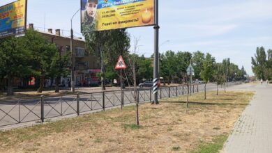 сухі дерева біля ДК Корабельний