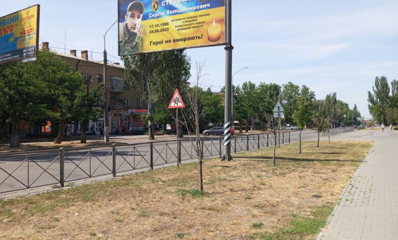 сухі дерева біля ДК Корабельний