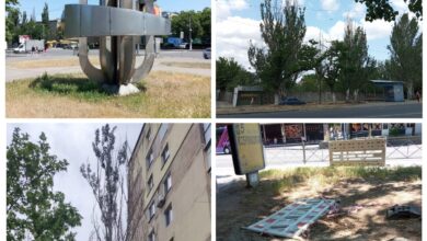 сухі тополі, нескошена трава та забуті ремонтниками речі