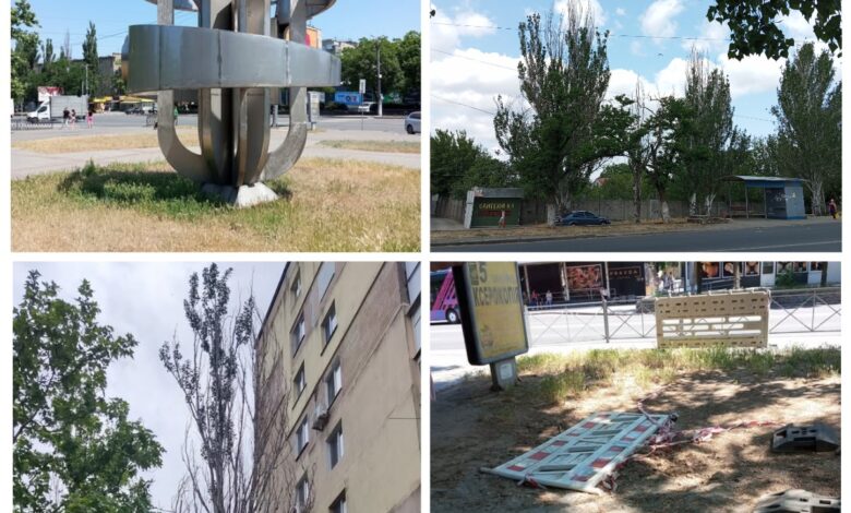 сухі тополі, нескошена трава та забуті ремонтниками речі