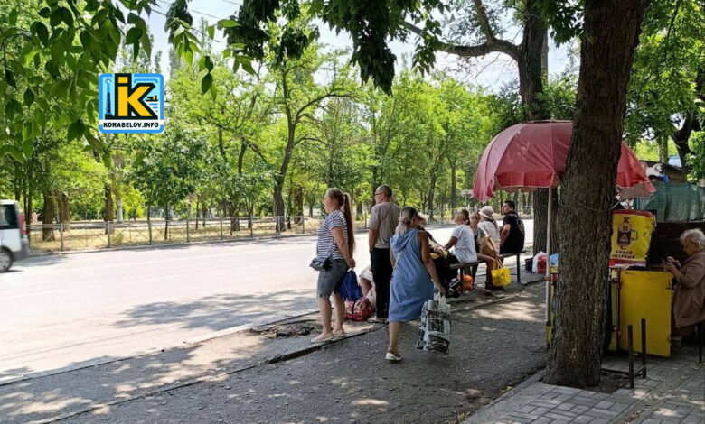 "Квас живой элитный"