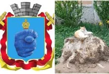 КП "Миколаївські парки" не висаджувало нових дерев усю весну