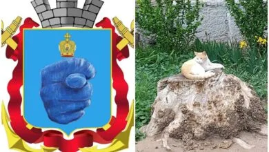 КП "Миколаївські парки" не висаджувало нових дерев усю весну