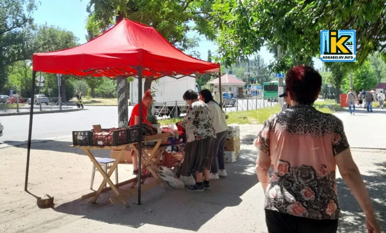 стихійка