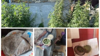 продавав канабіс у дворі