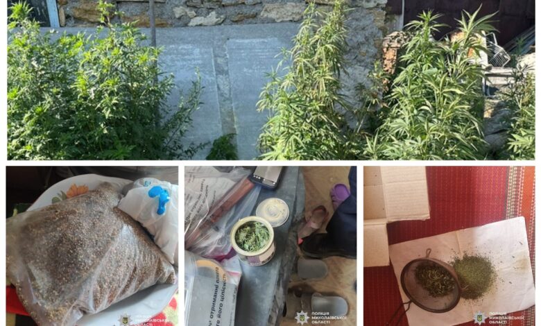 продавав канабіс у дворі