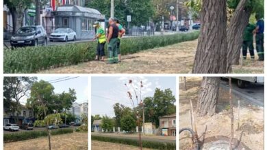 полив дерев у спеку, робота КП "Миколаївські парки"