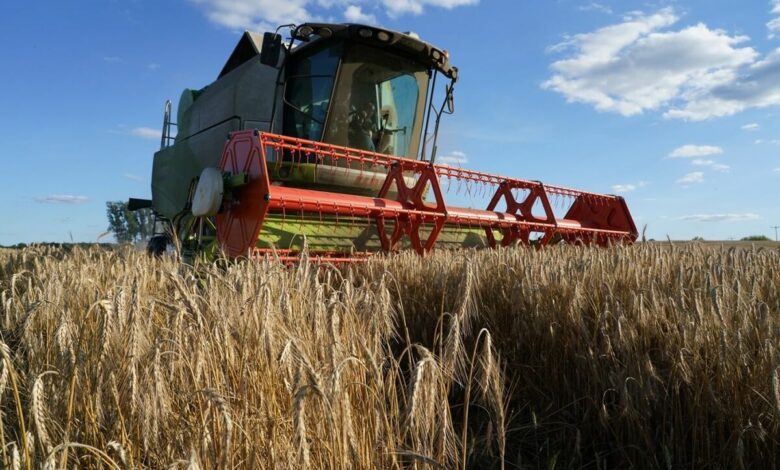 Жнива під гуркіт війни