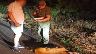 На місці ДТП