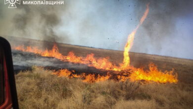 Пожежа на відкритій території