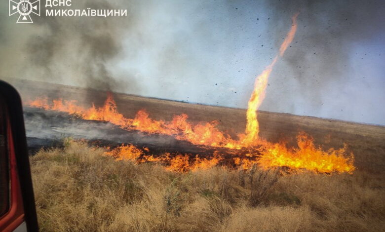 Пожежа на відкритій території