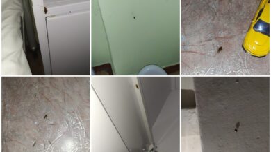 Таргани в дитячій лікарні