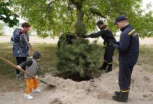 У парках Миколаєва з'являться молоді дерева