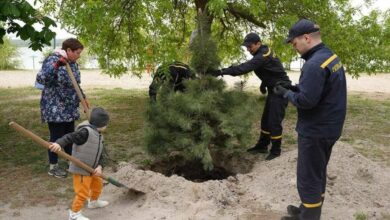 У парках Миколаєва з'являться молоді дерева