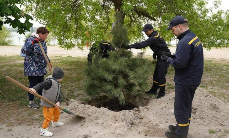 У парках Миколаєва з'являться молоді дерева