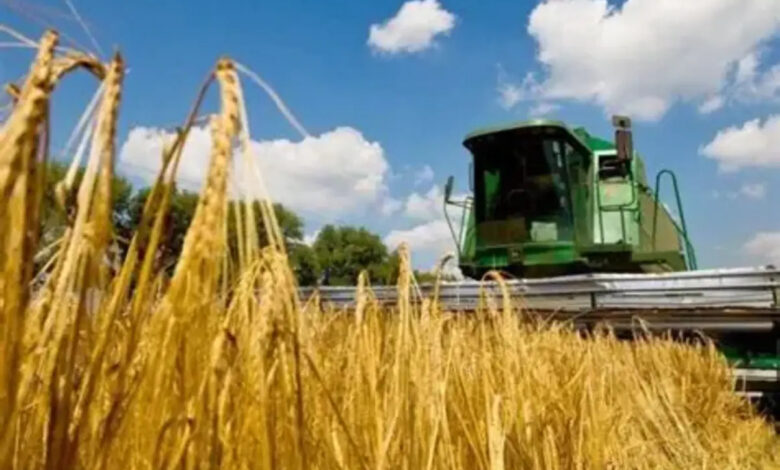 Зберемо не гірше, ніж торік!