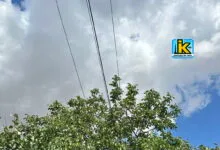Електромережа