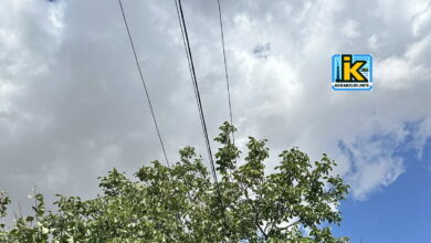 Електромережа