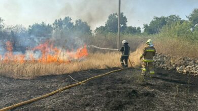 ДСНС за гасінням пожежі