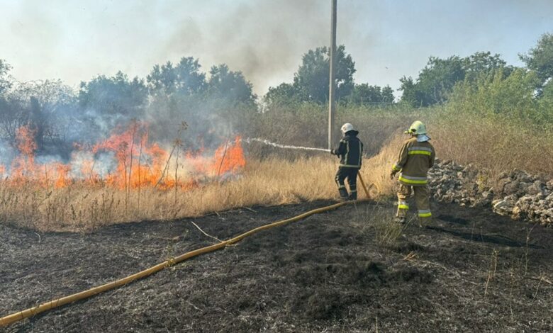 ДСНС за гасінням пожежі