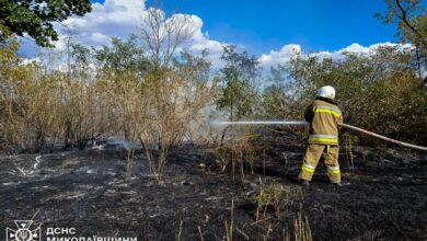 Палаючі чагарники перетворилися на смертельну пастку